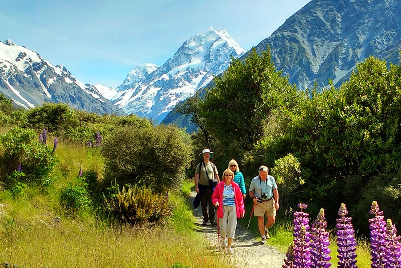 Person enjoying peaceful nature walk in New Zealand outdoors